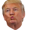:TRUMPKISS: Discord Emote