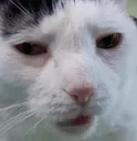 orianWat