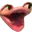 pock