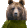 a_beardance Discord emoji