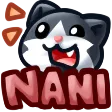 rynnNani