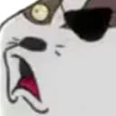 badgerwut