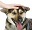 dogpet