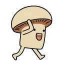 walkmush