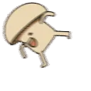 crazymush