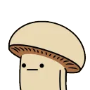 boommush