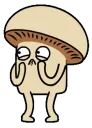 afraidmush