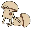 fitemush