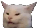 excuseme