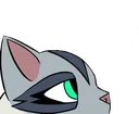 AsuriPeek AsuriPeek
