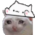 bongopatsadcat