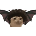tricatxarpus