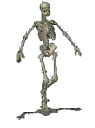 skeleton5
