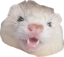 limesNero