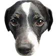 BlixtenZ BlixtenZ