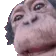 monkeyLick monkeyLick