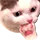 concerncat