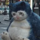 owoSadlax owoSadlax