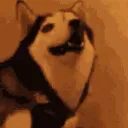 eh