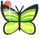 sbutterfly