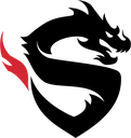 ShanghaiDragons