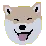 ASshoob