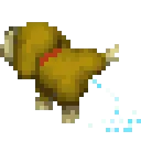 dogPee