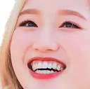 gowonkek
