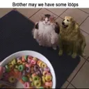 loopcat Discord Emoji