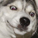 :ooMoon: Discord Emote