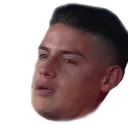 jamescry