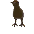 rainbowkiwi rainbowkiwi
