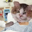 patientcatto Discord Emoji