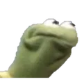 stankfacekermit