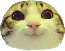 catcommacomma Discord Emoji