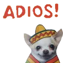 Adios