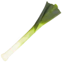 leek leek