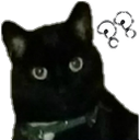 YunnoConfusion YunnoConfusion