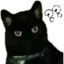 YunnoConfusion