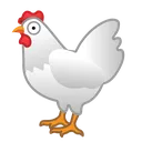 chicken