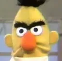 bert