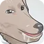 durr