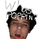 whas_poppin_boi whas_poppin_boi