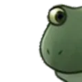 FrogePeek