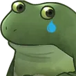 FrogeSad FrogeSad