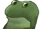 FrogeNope FrogeNope