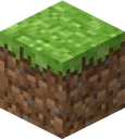Grass