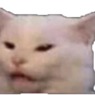 :UghCat: Discord Emote