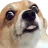 :Chienlasers: Chienlasers