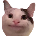 politecat